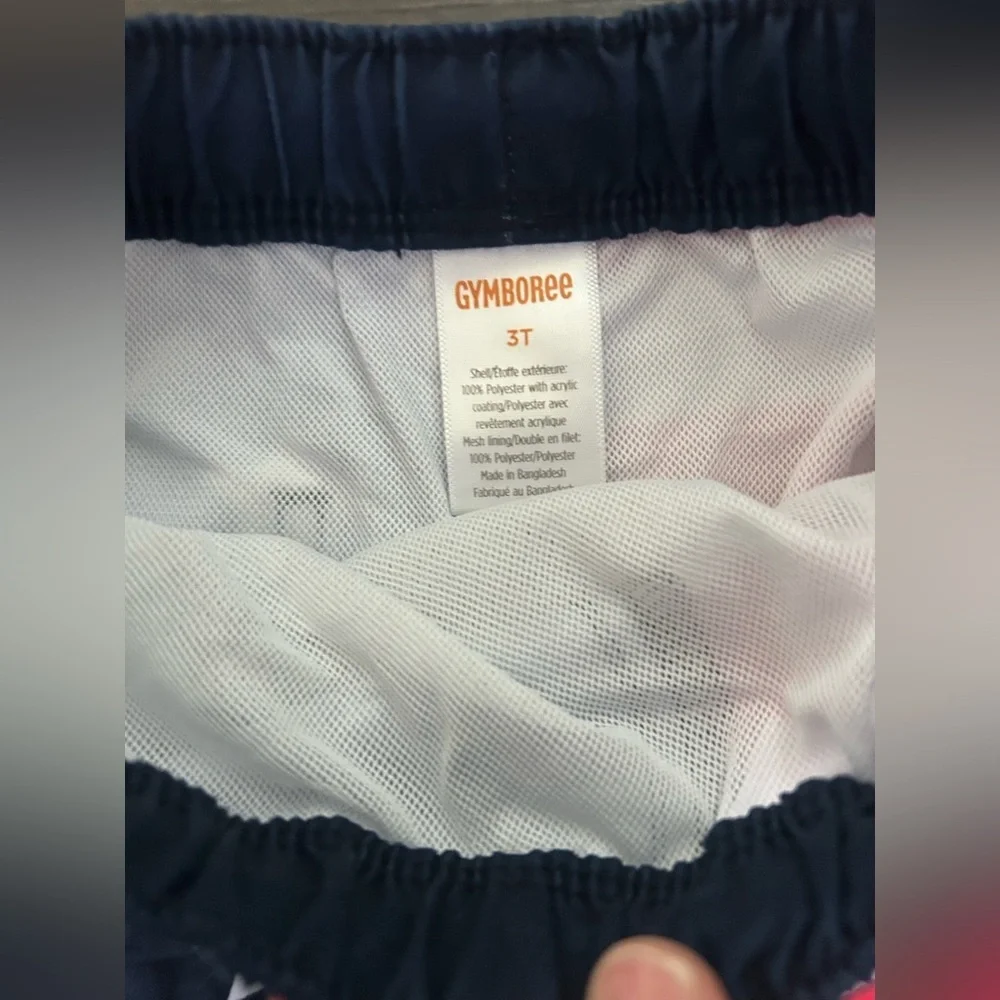 Gymboree two piece